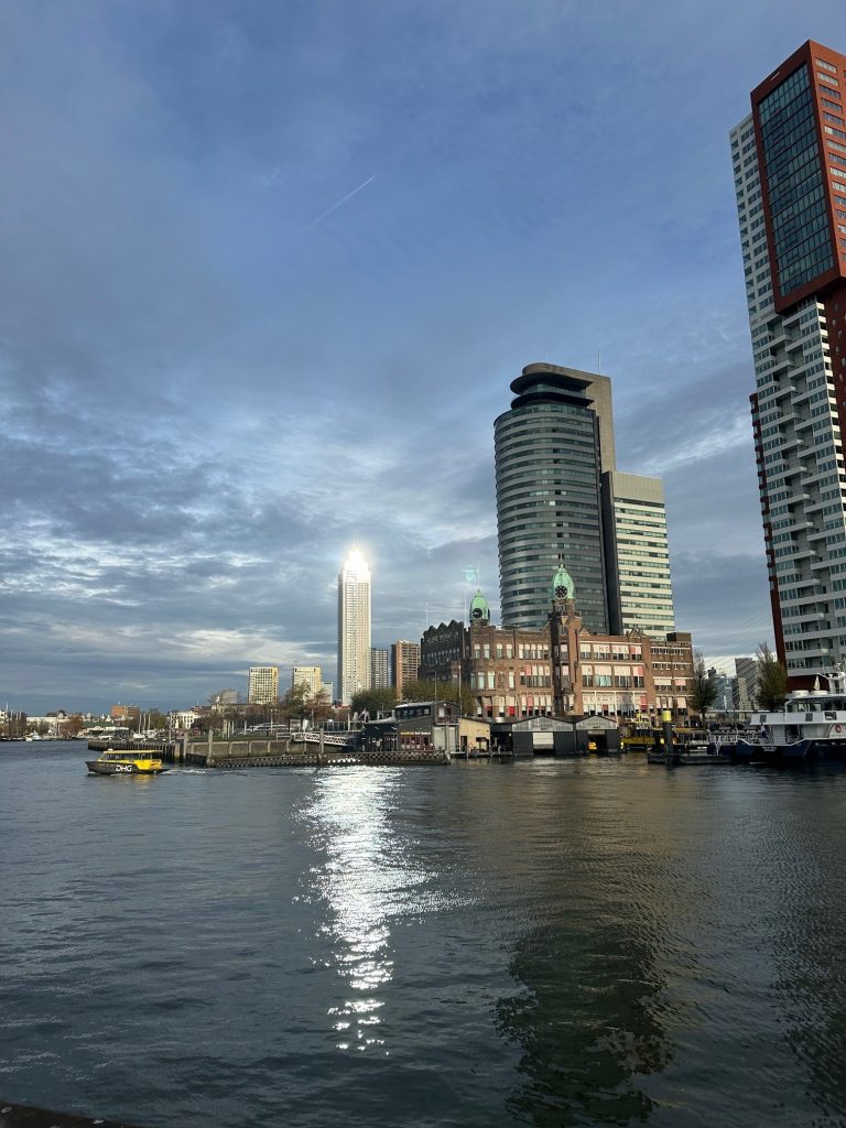 Rotterdam architectuur kunst
