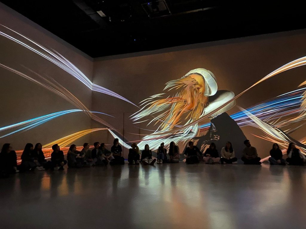 Kunst, licht, beeld en geluid