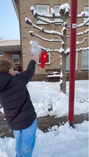 Sneeuwballen gooien online gymles